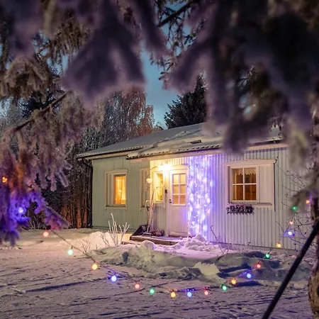 Holiday home Blue Autti